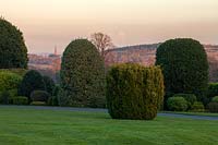 View across lawn to border of clipped evergreen topiary at Brodsworth Hall, Yorkshire. 
