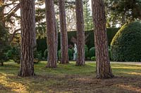 View of statue and evergreen topiary balls as seen through pine trees in lawn at Brodsworth Hall, Yorkshire. 