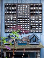 Slate bird boxes and porcelain fragments in printers trays, 