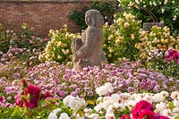 Rosa - David Austin roses in beds, such as pink-flowered R. 'Harlow Carr' surrounding sculpture with arches supporting climbing roses

