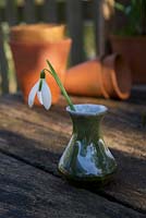 picked snowdrop in small glazed vase