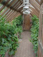 Greenhouse with brick raised beds, peppers, courgette, and chillie's. 