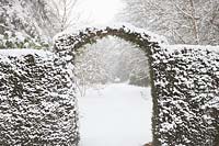 A snow dusted Taxus baccata -Yew - archway leading to wild garden. 