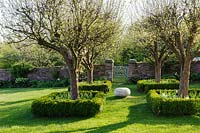 View of group of Malus hupehensis framed by buxus sempervirens hedges filled with white flowering bulbs at Brilley Court Farm, Whitney-on-Wye, Herefordshire, UK.