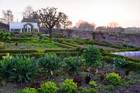 Overview of walled kitchen garden with Buxus - box-edged beds, trained fruit, apple tree and 
and greenhouse
