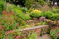 Recessed wooden bench set into a stone retaining wall surrounded by 
self-seeded Centranthus ruber