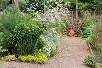 White flowering perennials in gravel garden, Church View, Appleby-in-Westmorland, Cumbria, UK. 