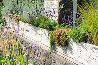 Wooden trough planted with grasses, lavender and herbs, Lower Treculliacks Farm, Falmouth, Cornwall, UK.