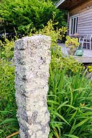 Lichen encrusted stone. 