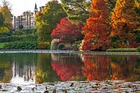 View across lake to autumnal trees and house, National Trust - Sheffield Park and Garden, East Sussex. 
