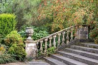 A wild rose grows alongside a flight of steps with antique balustrade and ornamental stone urn. 
