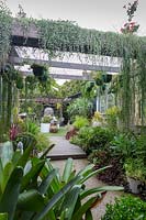 Pergola with Dichondra 'Argentea' and potted plants. 