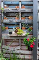Old timber pallets repurposed as wall mounted shelving, Australia. 