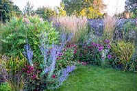 A view of an autumn flowering border.
