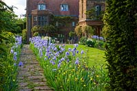 Path with Blue' Irises, Oxfordshire