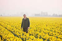 Johnny walkers in a field of Narcissus carlton, Lincolnshire