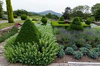 Topiary pyramids looking across the paved sunken garden, Arts and Crafts Garden, Perrycroft Garden, The Malverns, Herefordshire.  