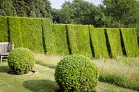 Arts and Crafts garden with topiary and fine planting, Herefordshire.  