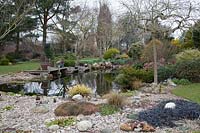 The pond in John Massey's winter garden