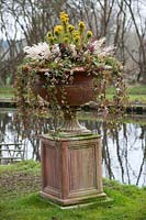 Planted urn in John Massey's winter garden