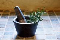 Rosmary officinalis spring in granite mortar and pestle on tiled surface