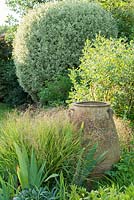 Eragrostis spectabilis and terracotta urn.