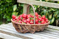 A basket of strawberries.