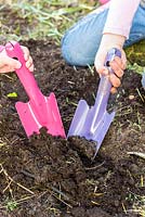 Children digging with colourful gardening trowels.