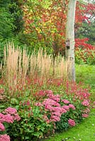 Mixed border with Calamagrostis, Persicaria and Hylotelephium.