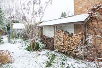 Snow covered log store with pollarded Sambucus nigra