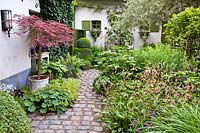 Courtyard with floral displays and borders. Planting includes Acer palmatum dissectum 'Garnet', Persicaria amplexicaulis 'Rosea', Hosta, Violas, Anemone, Alchemilla mollis