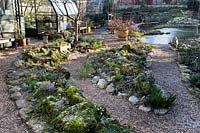 Snowdrop collection planted in rockery with range of crocus, showing wider view of the garden in early morning winter light 