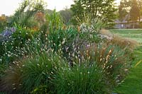 A view of colourful flowering perennial border. 