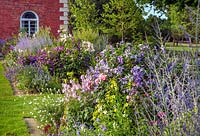 Border planted with Clematis viticella 'Emilia Plater', Perovskia 'Blue Spire', sidAlcea 'Elsie Heugh', Scabiosa ochroleuca - South Garden, Morton Hall, Worcestershire
