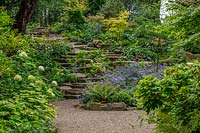 Rockery with Ferns, Asters and Hydrangea, Worcestershire