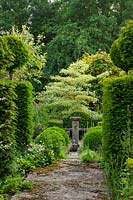 Formal clipped topiary Taxus pillars lead to focal point of Cornus controversa 'Variegata'. 
