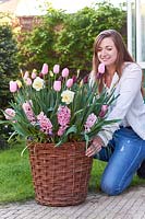 Woman placing a wicker container planted with spring flowering bulbs. 