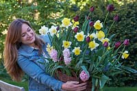 Woman carrying basket planted with spring flowering bulbs.