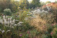Ornamental grasses in perennial border at Ellicar Gardens, Nottinghamshire. 
