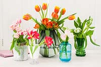 Mixed tulips arranged in glass vases