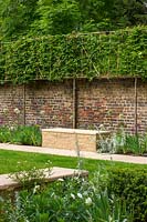 A view of a pleached Carpinus betulus - Hornbeam - above a low stone bench and flowerbed. 
