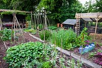 View of vegetable garden and chicken coop.