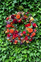  Summer wreath - designed and made by Susan Wright - hung on Hedera-covered wall. 