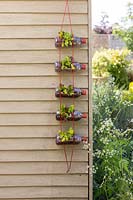 Vertical salad planter made from recycled plastic bottles in a rustic garden setting
