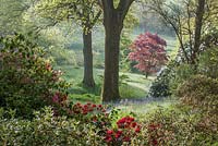 View of trees and flowering shrubs at High Beeches, Sussex, UK. 