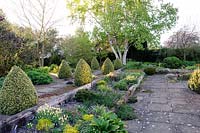 View of a row of clipped Buxus sempervirens cones running along raised bed made of railway sleepers.