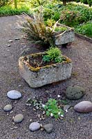 Tufa containers in the shade garden featuring choice ferns. 