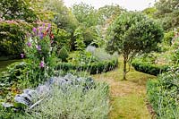 Vegetable garden with box edged beds, lavender and sweet peas