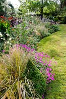Grasses and herbaceous perennials with clipped box cone