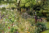 View of tall flowering perennials in bed. 